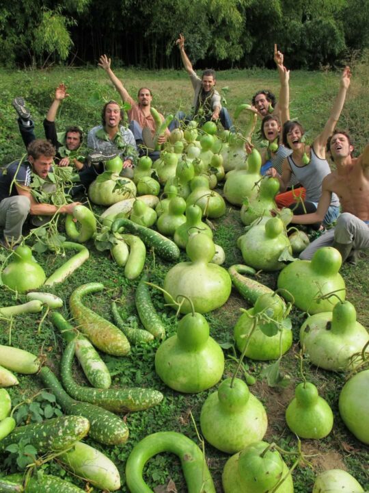CROWD FUNDING
